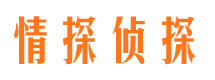 千阳侦探公司